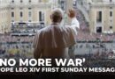 Pope Leo XIV calls for Gaza ceasefire and peace in Ukraine in first Sunday message