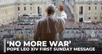 Pope Leo XIV calls for Gaza ceasefire and peace in Ukraine in first Sunday message
