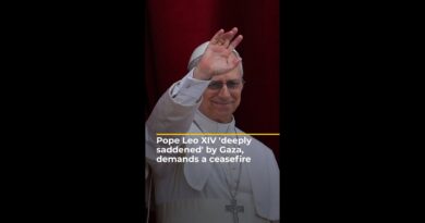Pope Leo XIV ‘deeply saddened’ by Gaza, calls for aid and a ceasefire | AJ #shorts