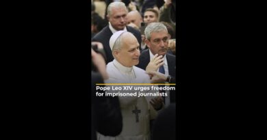 Pope Leo XIV urges freedom for imprisoned journalists | AJ #shorts