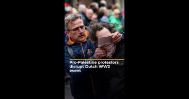 Pro-Palestine protestors disrupt Dutch WW2 anniversary event | AJ#shorts