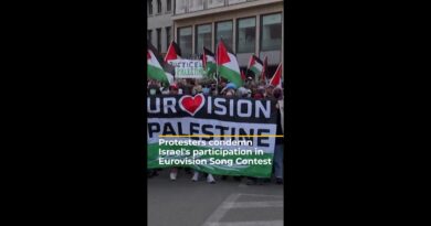 Protester slapped for yelling ‘Free Palestine’ during Israel’s Eurovision performance | AJ #shorts