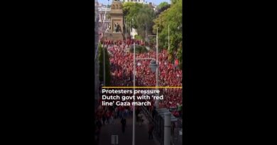 Protesters pressure Dutch govt with ‘red line’ Gaza demonstration | AJ #shorts