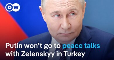 Putin not on list for ceasefire talks in Turkey | DW News