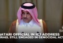 Qatar tells ICJ that Israel ‘created, perpetrated’ humanitarian catastrophe in Gaza
