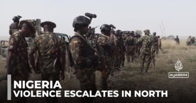 Renewed attacks in Nigeria: Conflict between farmers and herders in the north