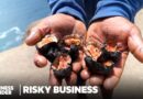 Risking Death For A Special Ceviche In Peru | Risky Business | Business Insider