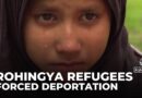 Rohingya forcibly removed as rights groups condemn India for deporting refugees