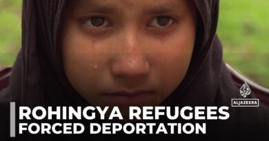 Rohingya forcibly removed as rights groups condemn India for deporting refugees