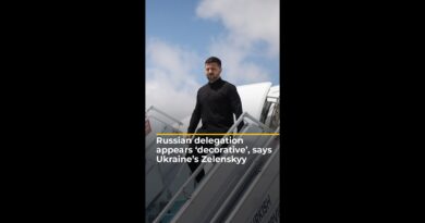 Russian delegation appears ‘decorative’, says Ukraine’s Zelenskyy | AJ #shorts