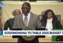 SA FinMin Enoch Godongwana delivers 2025 Budget Speech 3.0
