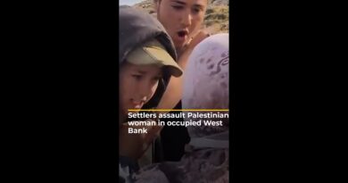 Settlers assault Palestinian woman protecting land in occupied West Bank | AJ #shorts