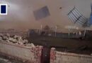 Sheep huddle in corner before tornado rips off farm roof