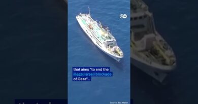 Ship carrying aid to Gaza allegedly attacked by drone | DW News