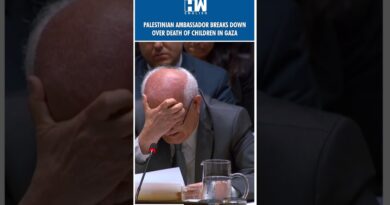 #Shorts | Palestinian Ambassador Breaks Down Over Death Of Children In Gaza | United Nation | Israel
