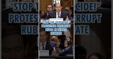 #Shorts | “Stop the Genocide!” Protesters Interrupt Rubio in Senate Hearing | Israel Gaza | US Trump