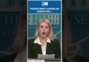 #Shorts | White House Condemns DC Killing of Israeli Embassy Staff | Karoline Leavitt | Donald Trump
