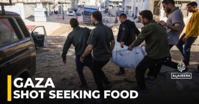 Shot searching for food: At least 20 Palestinians wounded near Netzarim