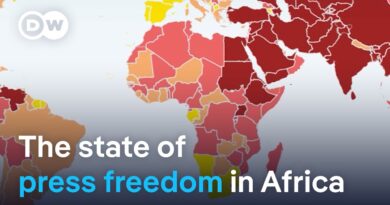 South Africa moves up in press freedom ranking | DW News