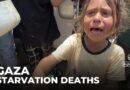 Starvation-related deaths: At least 29 Palestinians including children have died in Gaza