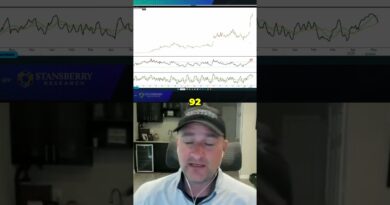Stock Volatility Alert  When to Cash Out & Stay Patient!