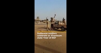 Sudanese soldiers celebrate as Khartoum state declared ‘free’ of RSF | AJ #shorts