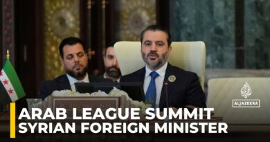 Syrian Foreign Minister Asaad al-Shabana is speaking at the Arab League summit in Baghdad