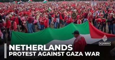 Tens of thousands march in the Netherlands to protest against Gaza genocide
