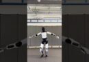 Tesla’s Optimus robot is now dancing