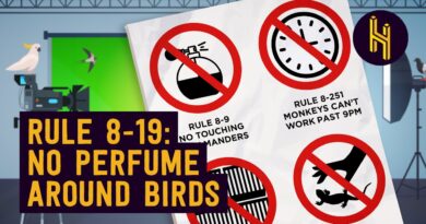 The 467 Rules You Have to Follow to Put an Animal in a Movie