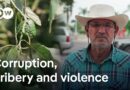 The cartels that control Mexico’s mega market | DW Documentary