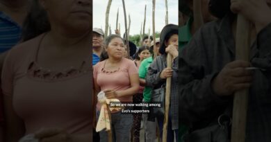The coca farmers protecting Bolivia’s fugitive president