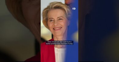 The EU’s advantage on tariffs | DW News