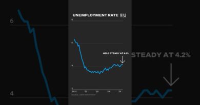 The Impact of Trump’s Tariffs on April Jobs Report: WSJ Analysis