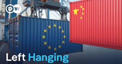 The trade war has foreign firms in China dangling | DW News