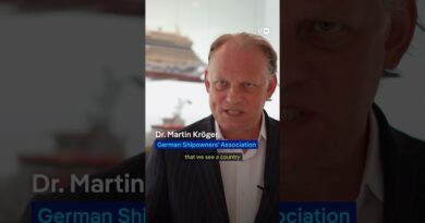 The world’s shipping companies are facing a two-front squeeze | DW Business