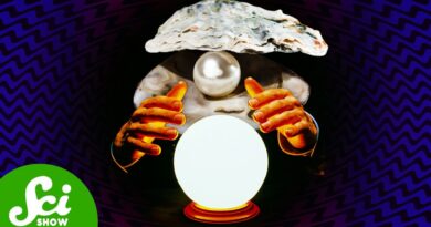 These Clams Could Predict The Future
