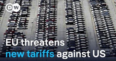 Trade war: EU proposes $95 billion in retaliatory tariffs as Trump strikes deal with UK | DW News