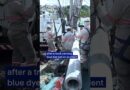 Truck carrying dye crashes causes, causing fish to die | DW News