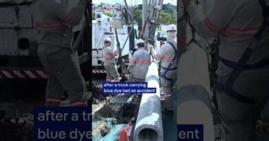 Truck carrying dye crashes causes, causing fish to die | DW News