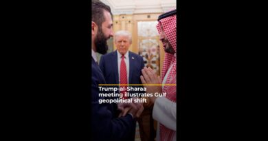 Trump-al-Sharaa meeting illustrates Gulf geopolitical shift | AJ #shorts