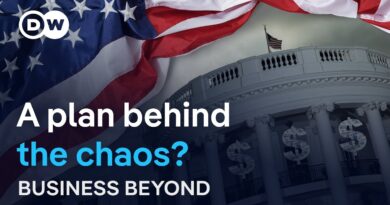 Trump’s economic philosophy: a real plan or simply chaos? | Business Beyond