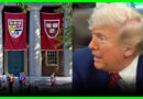 Trump’s War On Harvard BACKFIRES Big Time | The Kyle Kulinski Show