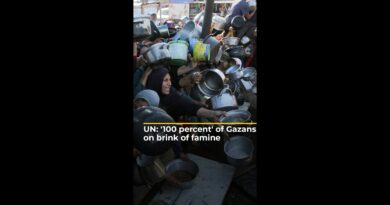 UN: ‘100 percent’ of Gazans on brink of famine | #ajshorts