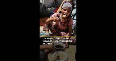 UN Arab Group: Israel weaponising starvation in Gaza | #ajshorts