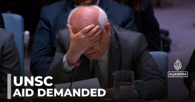 UN members condemn Israel’s war: Security Council calls for aid to be allowed entry