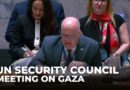 UN Security Council holds meeting on the situation in the Middle East and Gaza