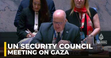 UN Security Council holds meeting on the situation in the Middle East and Gaza