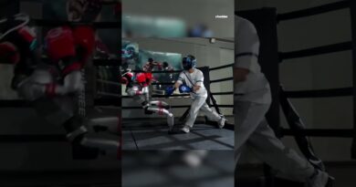 Unitree is training its humanoid robots to box