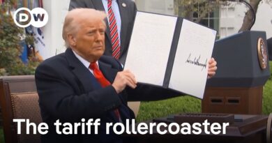 US Appeals court temporarily reinstates Trump tariffs | DW News